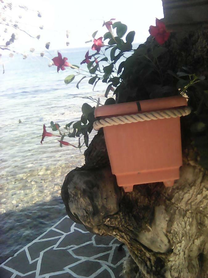 Agyrovoli Bungalow Skála Kallirákhis Zewnętrze zdjęcie